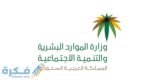 إصدار مشهد الإعاقة