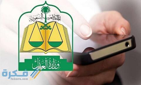 إقامة ولي على القاصر عقلاً 2 إقامة ولي على القاصر عقلاً