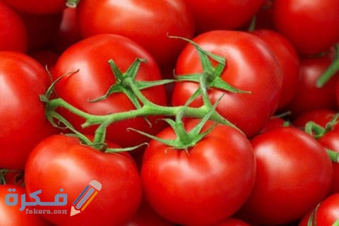 امراض الطماطم وطرق مكافحتها