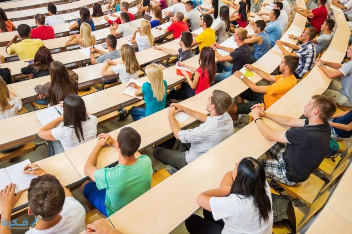 ما الفرق بين الدبلوم والبكالوريوس