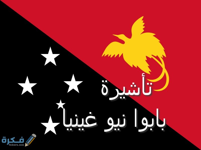 انواع تاشيرات غينيا