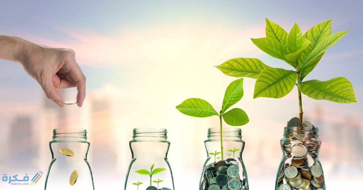 تجربتي مع الصناديق الاستثمارية 5 تجربتي مع الصناديق الاستثمارية