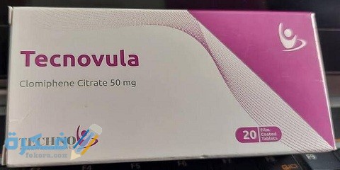 تكنوفيولا Tecnovula