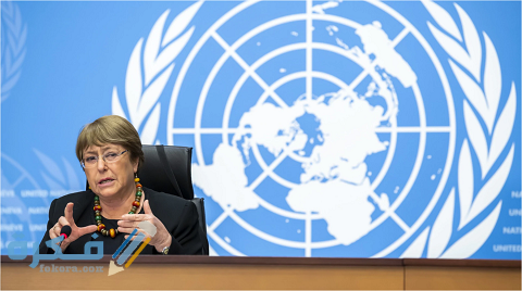 طلب مشورة أو دعم في مسائل حقوق الإنسان