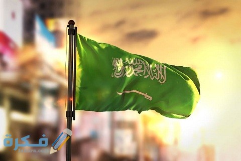 طلب منحة دراسية حكومية لغير السعوديين