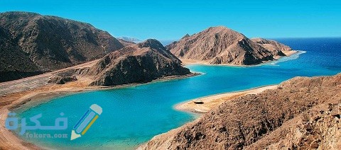 كم عدد المحميات الطبيعية في مصر