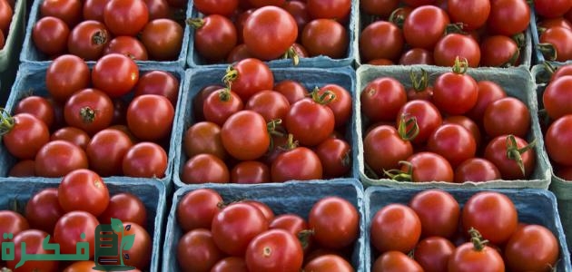 06744126 76AE 4E50 8DEE 75CAE1ADC0BE