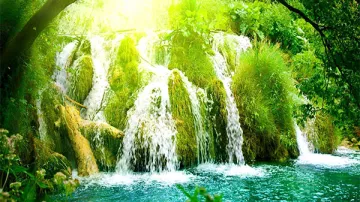 معني سجسج في اللغة العربية