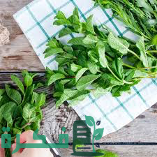 181B36EF E76C 438B A4FC 12BB9B57CBDD