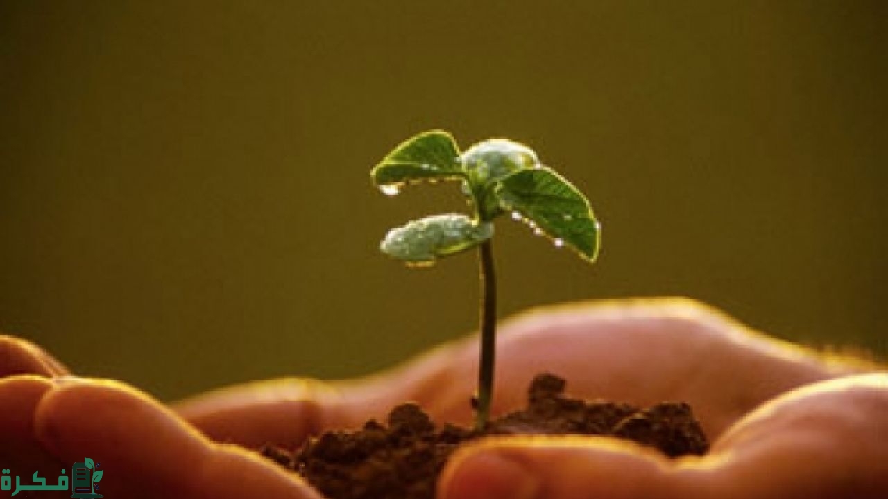 نصائح قبول العمل الصالح