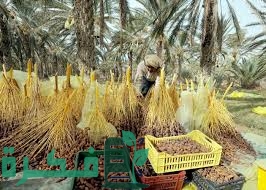 BDA6DDBC EFA6 4BB1 A3FB 1F16CB92BDD9