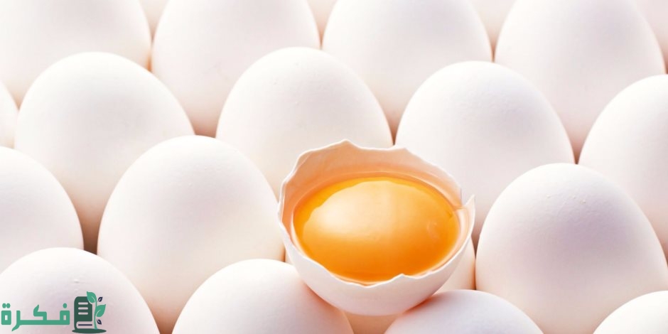 EFCC34D3 CAAB 4028 88AB 9AB25F77191D