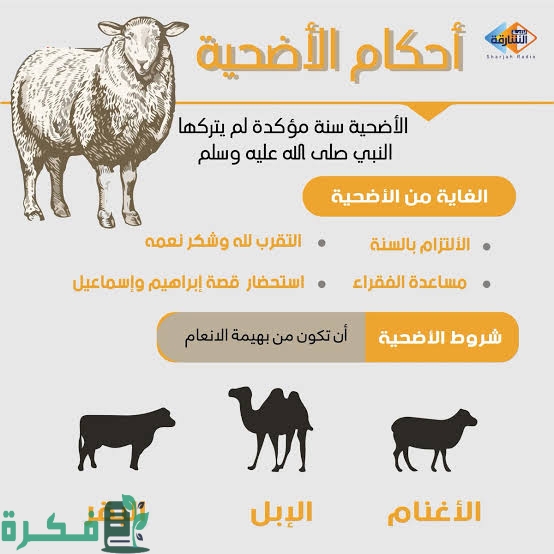 images 2022 07 02T005927.212