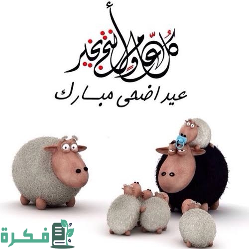 images 2022 07 02T083054.672