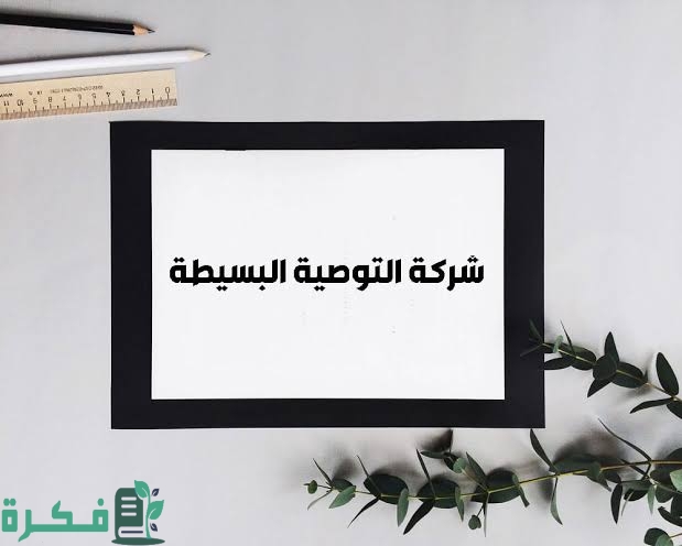 مميزات وعيوب شركة التوصية البسيطة 6 images 2022 07 25T010248.592