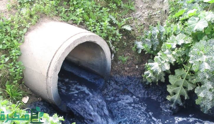 images 2022 07 27T002121.279