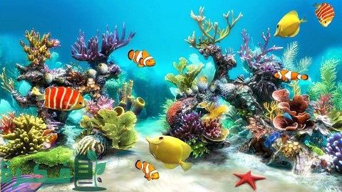 أنواع الأحياء المائية