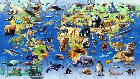 اسماء حيوانات لها عمود فقري