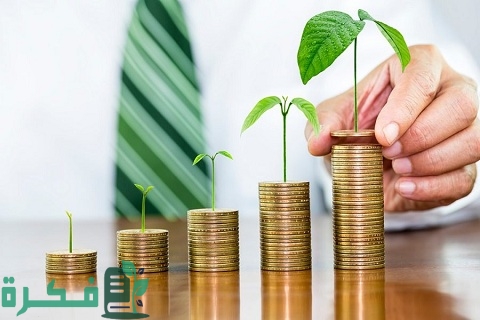 فنون استراتيجية إدارة رأس المال 4 تعلم استراتيجية إدارة رأس المال