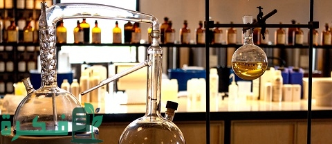 دراسة جدوى مشروع مصنع عطور كامل 2 دراسة جدوى مشروع مصنع عطور