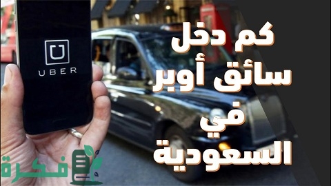 كم دخل أوبر في اليوم