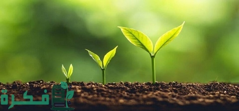 ما هي التغذية الذاتية