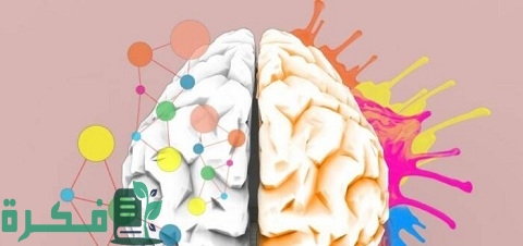 مستويات التفكير المركب