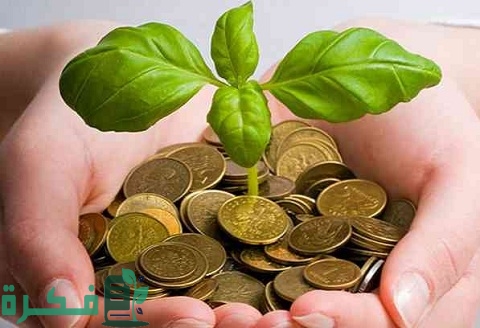 مفهوم الاستدامة معايير كيف تحقق الاستدامة