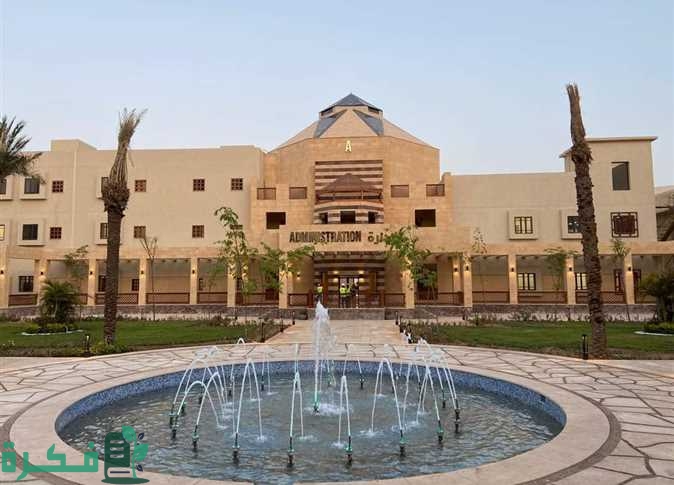 تخصصات جامعة الملك سلمان 2022