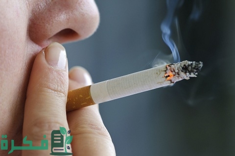 اسماء 10 دول ذات أعلى معدلات التدخين في العالم 2 10 دول ذات أعلى معدلات التدخين في العالم