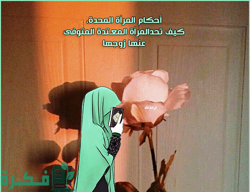 على من توجب العدة