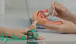 8FE84E54 EEFD 4239 B41C 54D094F9B78D