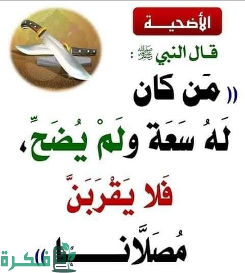 IMG ٢٠٢٢٠٨٢٣ ٢٣٠٢٢٥