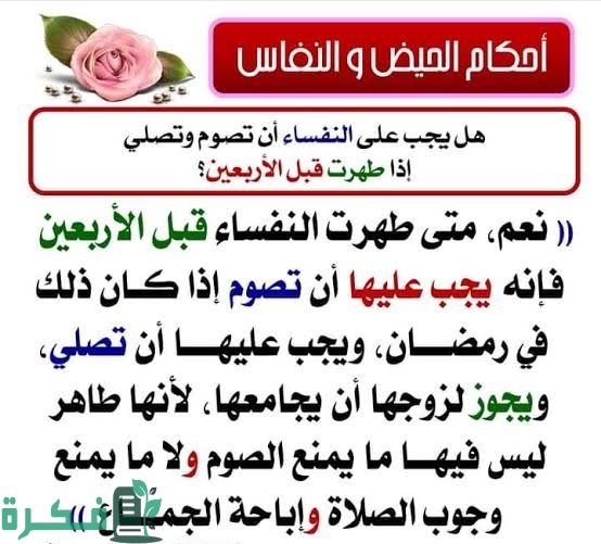 IMG ٢٠٢٢٠٨٢٥ ٠٣٢٨٢٦