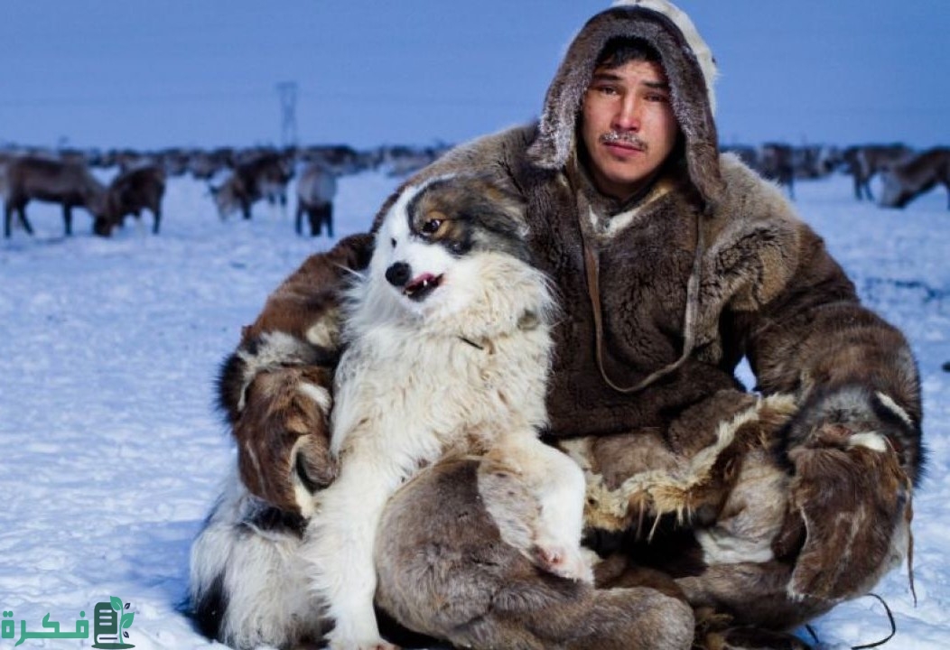 من هم الأسكيمو وأين يعيشون 4 من هم الأسكيمو وأين يعيشون