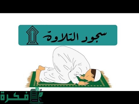 عدد سجدات التلاوة في القرأن