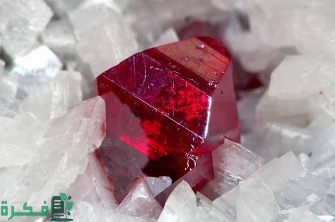 images 2022 08 02T235325.416