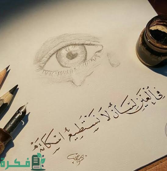 images 2022 08 05T003431.116