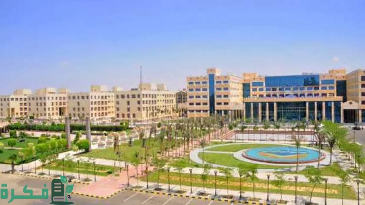 images 2022 08 10T222956.979