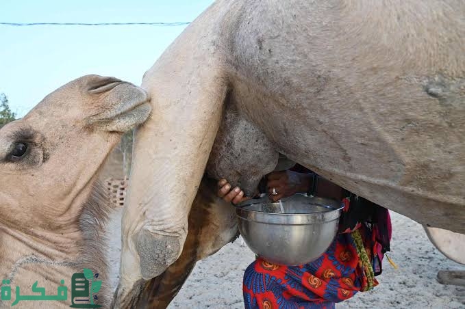 images 2022 08 13T133523.562