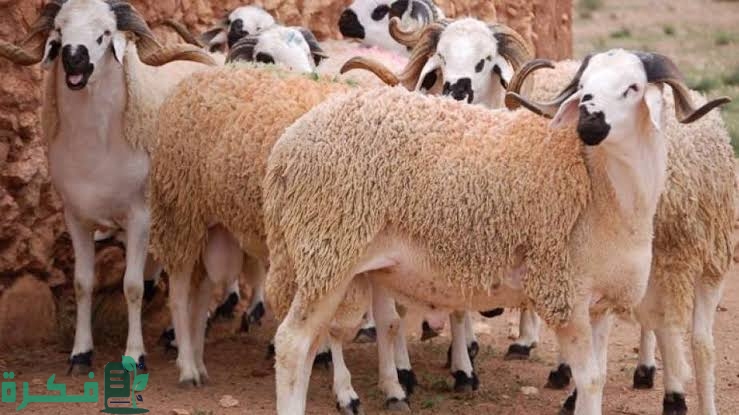 images 2022 08 16T234757.059