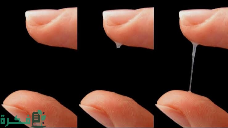 images 2022 08 17T101316.288