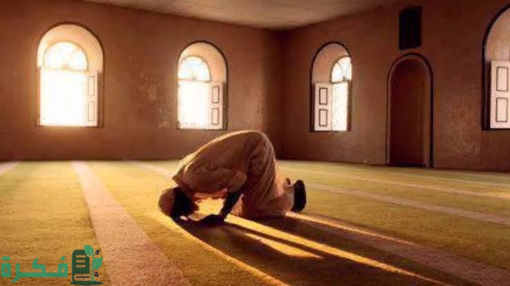 images 2022 08 18T004800.357