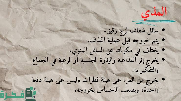 images 2022 08 19T003355.449