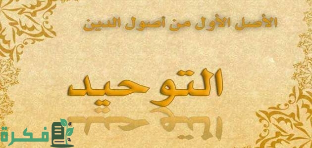 images 2022 08 22T232743.408