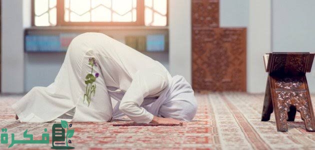 images 2022 08 24T141809.654