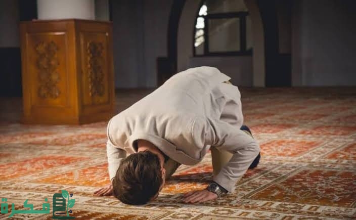 images 2022 08 25T231522.239