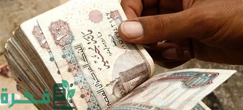 أكثر تجارة مربحة في مصر