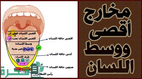 الحروف التي تخرج من اللسان