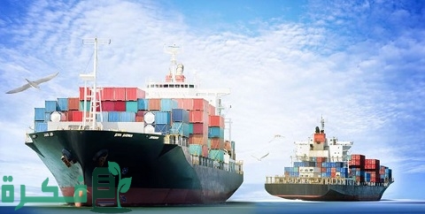 تأسيس شركة استيراد وتصدير خطوة بخطوة من التكلفة حتى الأوراق اللازمة